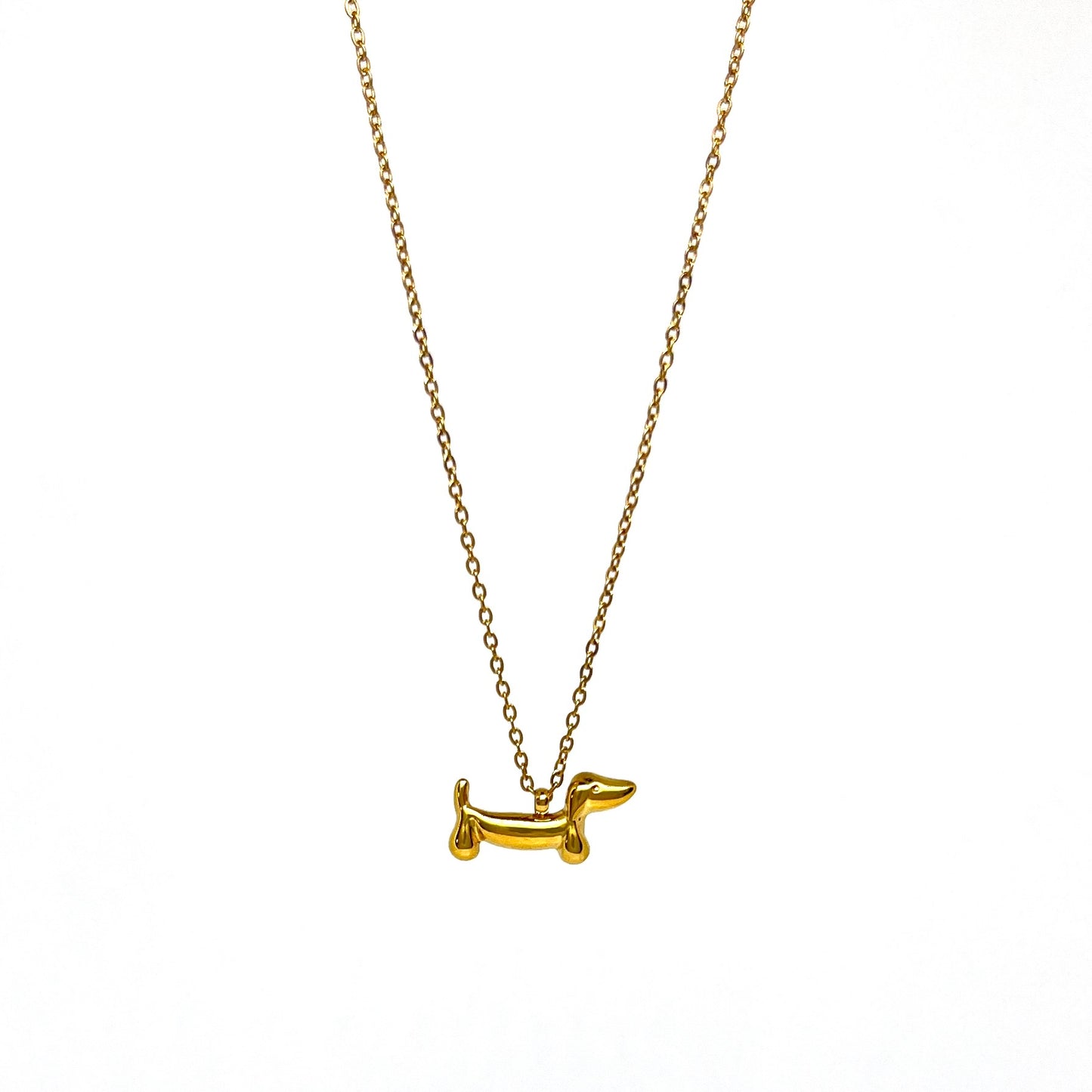 Collier Teckels